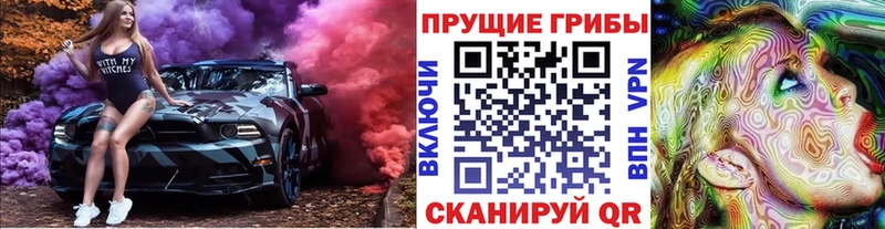 Купить  Нолинск  Псилоцибиновые грибы Magic Shrooms 